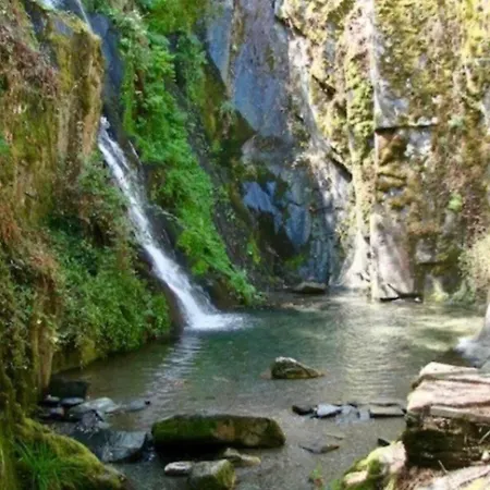 Flores Beautiful River Beaches & Mountains Coja